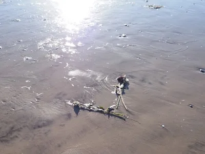 Haystack Rock photograph 11